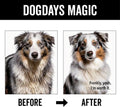 Pride and Groom DogDays Deshedding Dog Shampoo | Fast-Acting Coat Softener & Shedding Control | All-Natural Dog Wash wit