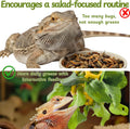 Homedy Crafts Bearded Dragon Climbing Bridge with Veggie Feeder Ball – Bendable Vine Enrichment Route for Large Tanks, Greens Intro Kit, Reptile/Lizard Tank Accessories (Salad Feeder Ball)