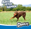 Chuckit! Ultra Ball Dog Fetch Toy, Large 3in, for 60-100lbs Dogs, Floats