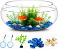 Jucoan 0.9 Gallon Glass Fish Bowl with Decor, Clear Round Shallow Glass Bowl for Betta Fish and Aquatic Plants, Includes