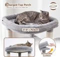 Heybly 53.1" Corner Cat Tree for Large Cats – Interactive Play HCT029W
