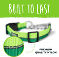 Mighty Paw Martingale Dog Collar 2.0 | Trainer Approved Limited Slip Collar with Stainless Steel Chain & Heavy Duty Buck