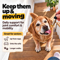 Billion Pets - Hemp Oil for Dogs and Cats - Helps with Anxiety, Pain, Stress, Sleep, Arthritis, Seizures Relief - Hip and Joint Support - Calming Drops