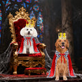 GOYOSWA Dog King Costume, Dog Halloween Costumes King Cloak Crown Set Funny King Prince Costume for Small Medium Large D
