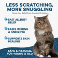 Cat Allergy Relief & Immune Support, Natural Relief for Seasonal Allergies, Itching, Sneezing, Congestion, Runny Nose, and Feline Respiratory Infections, 400 Small Odorless Tasteless Pills