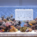 balacoo Fish Breeding Hatchery Net Fish Isolation Box