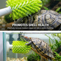 3-Piece Turtle Shell Brush & Feeder Ball Set, Turtle Tank Care Accessories