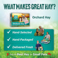 Small Pet Select Orchard Grass Hay Pet Food for Rabbits, Guinea Pigs, Chinchillas and Other Small Animals, Premium Natur