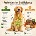 Turkey Tail Mushroom for Dogs & Cats, Immune & Gut Mushroom Chews for Dogs