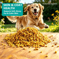 Bee Pollen for Dogs and Cats – Skin & Coat Health, Immune Support – Rich in Vitamins & Minerals – Picky Pet Friendly – 4