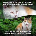 Cat Allergy Relief & Immune Support, Natural Relief for Seasonal Allergies, Itching, Sneezing, Congestion, Runny Nose, and Feline Respiratory Infections, 400 Small Odorless Tasteless Pills