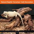 Natural Reptile Wood Bearded Dragon Tank Accessories, Reptile Climbing & Basking Branch Aquarium Driftwood Reptile Hide 