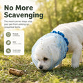 5PCS Pet Anti‑Scavenging Dog&Cat Face Net, Breathable, Lightweight & Elastic Head Cover for Small Dogs & Cats, Ideal for