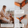 MADE TO ROAM Premium Everyday Dog Collar - Martingale Style No Pull Vegan Leather Collar, Heavy Duty and Lightweight for