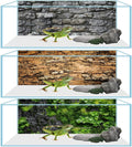 3 PCS 36"x18" Reptile Terrarium Background – Polyester Fabric for Bearded Dragon Tank Decor with Rock Bark & Forest Patt