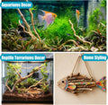 200g Natural Driftwood Root for Aquarium, 12"Aquascaping Wood for Terrarium