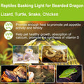 UVB UVA Reptile Light Bulb 75W Bulb for Reptiles and Amphibians Use for Turtle, Bearded Dragon, Lizard Cages Heat Lamp R