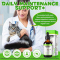 Arkture Hairball Treatment for Cats, Cat Hairball Remedy, Hairballs Drops Promotes Natural Passage of Hairballs, Supports Skin & Coat, Digestion, Immune - Chicken Flavor, 60ML