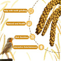 Jmxu's Spray Millet Treat for Birds Parakeets, Natural Sun-Dried Birds Millet for Cockatiel, Budgie, Finches, Parrots, Hamster