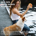 Dog Donut Treats, Chicken Wrapped Rawhide Donuts