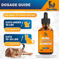 Cat Antibiotic Respiratory Support During Cough & Allergies