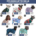 Spark Paws Dog Pajamas - Stretch Onesie Recovery Full Leg Surgery Suit PJS