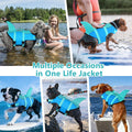 Dogcheer Dog Life Jacket, Cute Shark Dog Life Vest for Swimming Boating with Superior Buoyancy and Rescue Handle, Adjustable Puppy Floating Swim Vest for Small Medium Large Dogs - Pool Blue, XS