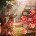 VUN Dog Heart Supplements–Dogs Cardio Support Soft Chews with CoQ10,Cardiovascular & Antioxidant Support with L-Carnitine for Senior Dogs Vitality& Energy Support,100 Counts
