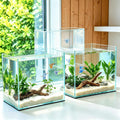 Two-Tank Aquarium Bridge, 4 in Gap Negative Pressure Fish Tank Kit