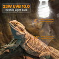 LUCKY HERP UVA UVB Reptile Light 10.0, Desert UVB 150 Compact Fluorescent Lamp, UVB Light for Reptiles 23W, UVA UVB Rept