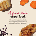The Honest Kitchen Wholemade Dehydrated Grain Free Chicken & Whitefish Cat Food, Human Grade Recipe with Probiotics, Dig