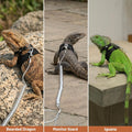 Yuanchu 3 Pack Adjustable Bearded Dragon Harness and Leash Set