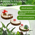 Jumping Spider Habitat Accessories Enclosure Habitat Accessories Jumping Spider Web Climbing and Feeding Platforms with 