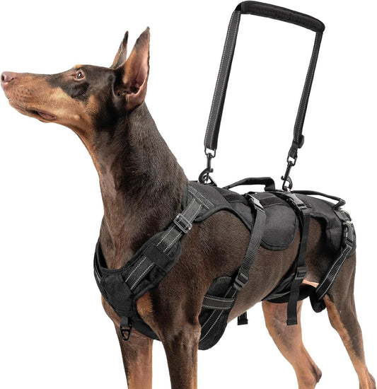 BINGPET Dog Lift Harness for Medium Dogs, Full Body Lifting Dog Vest