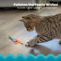 Catstages Kitty Chew Wheel, Dental Cat Toy with Catnip Oil, Teeth Cleaning, Healthy Chewing, Boredom Relief, Kicking & B