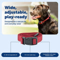 PetSafe 3/4 Inch Replacement Collar Strap, Rust