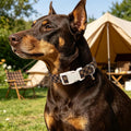 DOGWONG Brown Checked Dog Collar, Autumn Plaid Dog Collar,Western Grid Dogs Collars for Small Medium Dogs, Neck 11-16 in