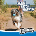 Chuckit! Rebounce Ball Dog Toy - Bouncy Fetch Balls for Dogs 20-60 lbs - Made from Durable Rubber - Outdoor Pet Toys - Size Medium - 2.5-inch Diameter - Pack of 2 - Blue