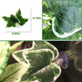 BNOSDM Fake Terrarium Plants for Reptiles, 3-5in, Green, 5PCS