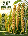 TINYFIELD Millet Spray for Birds, Parakeet Budgie Cockatiel Parrot Treats Snacks (0.5 Pound)