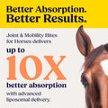 Summit Equine Joint & Mobility Bites Daily Supplement for Horses, Liposomal Delivery, Max Absorption, Vet Recommended, A