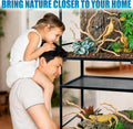200g Natural Driftwood Root for Aquarium, 12"Aquascaping Wood for Terrarium