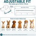 Craveit Flea and Tick Collar for Dogs, 4 Pack, Small Dogs Under 18 lbs