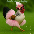 Chicken Tutus for Hens and Hat Clothes Costume, Cute Feather Chicken Hat, Clothing for Chickens, Feather Skirt Tutu Dres