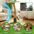 Cat Scratching Post, 40" Tall Scratcher Tree with Multiple Interactive Toys