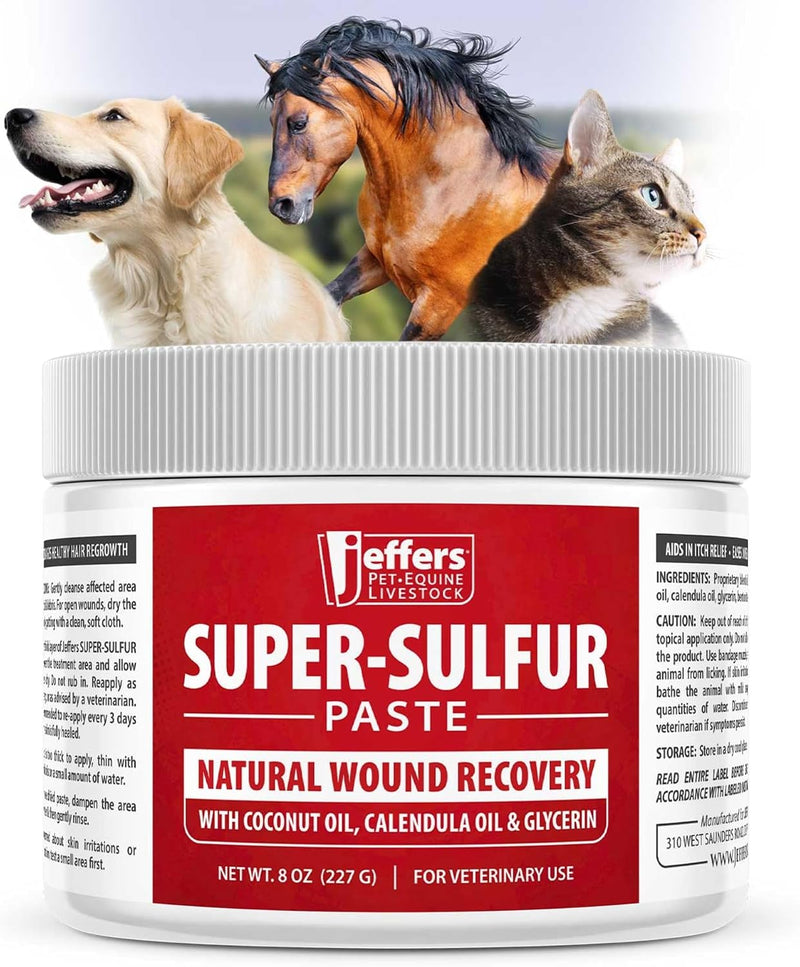 Jeffers Super Sulfur Natural Healing Paste for Dogs, Cats & Horses 8 oz – Wound Care, Skin & Coat Support for Animals, S