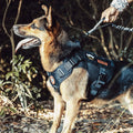 OneTigris Tactical Dog Harness with Handle for Small Medium Dogs Black S