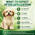 6Pcs Topical Dog Care Drops for Small Dogs 5-22 lbs, Monthly Outdoor Comfort Liquid for Dogs, Waterproof Pet Skin Care F