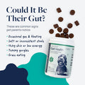 Veterinary Formula Smart Vitality Gut Health Soft Chews for Dogs
