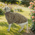 Sphynx Cat Sweater Soft Warm Long Sleeve Fleece for Cats&Small Dogs